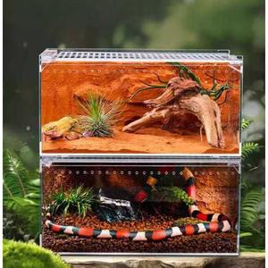 왕달팽이 키우기 백와달팽이 애완용 은신처