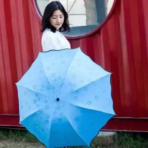 접이식우산 고급우산 비를 맞으면 벚꽃이 피어나는 블루