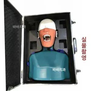 치과 마네킹 더미 끈형 모형 헤드마스크 전신 스케일링 교육용 연습 이빨 경구 탈부착 교구