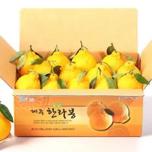 제주 감귤 한라봉 5kg 못난이 혼합과