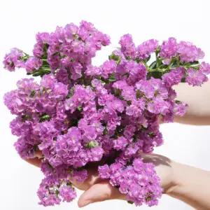 꽃 생화 랜덤꽃 오늘의 한 종류 정기구독 택배 기념일 출산 테이블 실내 인테리어 힐링