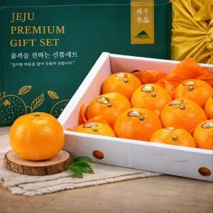프리미엄 백화점급 천혜향 선물세트 가정용 정선담은마켓
