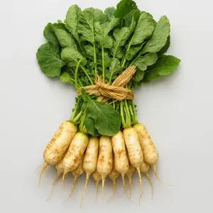 제철 총각무 맛있는 황토 알타리무 [1단]