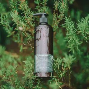 유안재 어성초 식물성 샴푸 490g