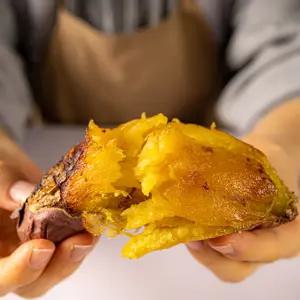 해남 황토 햇 호박 고구마 10KG 특상