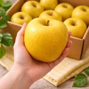 밀양 얼음골 아삭달콤 황금 시나노골드 사과 5KG 대과