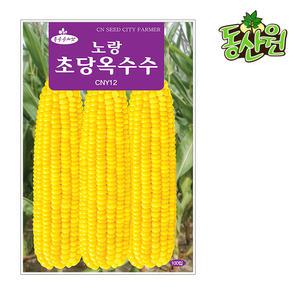 노랑초당옥수수씨앗 100립 초당옥수수종자 곡물씨앗