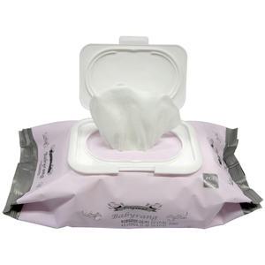 베비랑 오리지널 물티슈 캡형 100매 / 휴대용 물휴지