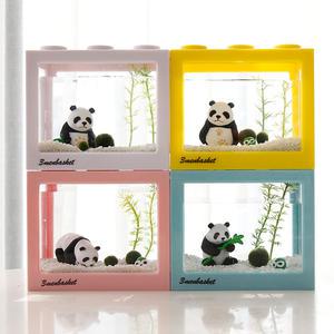 세남자 동물친구들과 함께 국산 마리모 키우기 DIY세트 마리모 키우기 키트