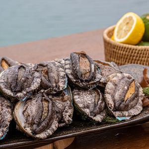 완도 활 전복 크기별 1kg, 7미부터 27미까지, 대왕특대, 특대, 꼬마전복, 해수포장, 손질도구 무료