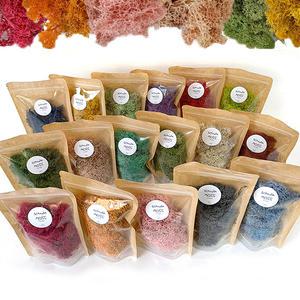 [문구티쳐] 토단 하비 스칸디아모스 30g 12색 국내생산 친환경모스 공기정화식물 천연이끼 실내식물