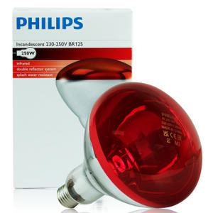 필립스 의료용 적외선 램프 전구 IR250W (BR125)