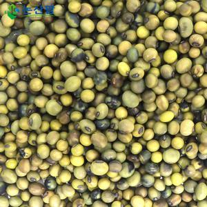 국산 오리알태 500g 콩나물콩 햇콩 24년생산