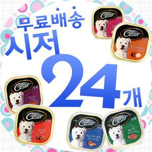 시저 24개/페디그리/몽이/아리아스/럭셔리/ANF/이나바/알파독/스위트키스/강아지캔
