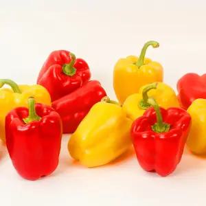 국내산 빨강 노랑 혼합 파프리카 1kg