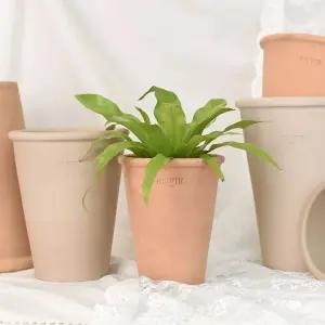 마이플랜트 앙비까사 콘팟 빈티지 베트남 토분 인테리어 화분 13호