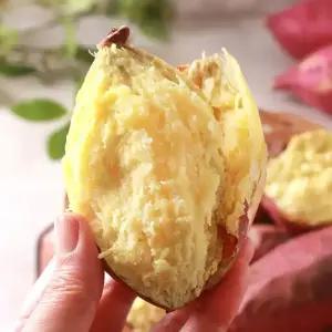 25년 해남 진율미 햇 밤고구마 퍽퍽한밤고구마 3kg 5kg