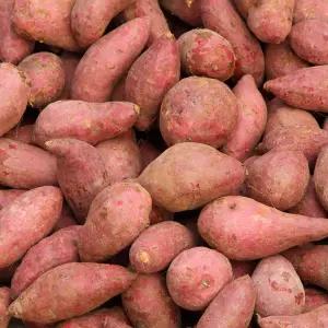 국내산 해남 베니하루카 한입 고구마 20-50g 내외 10kg