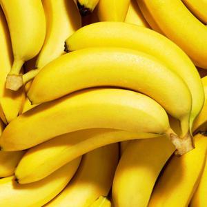신선한 고당도 만나 바나나 돌바나나 1송이 1~1.2kg