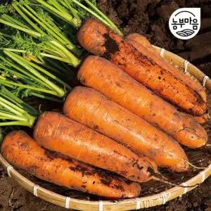 [농부마음] 싱싱한 제주 구좌 흙당근 5kg(중품)