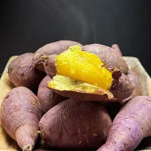 해남 세척 꿀고구마 특상 5kg JT 햇고구마 숙성고구마