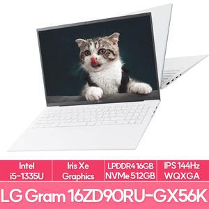 LG전자 그램16 16ZD90RU-GX56K 13세대 인텔i5 램16G NVMe256G+256G추가 사무용 대학생 노트북 추천 EU