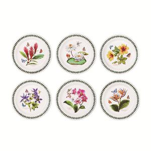 포트메리온 엑소틱 보타닉가든 소접시 6P