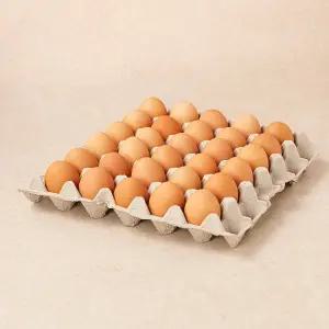 무항생제 계란 30구 (대란)