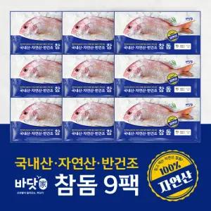 [바닷가]국내산 자연산 반건조 참돔 300g X 9마리