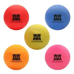 웨이메이커 비비드 파크골프공 무광볼 4피스 4겹) 구조 고반발 비거리 강한 내구성