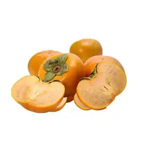 경남 단감 햇 단감 5kg