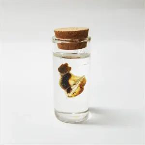 탯줄보관 DIY 세트/아기 손도장 발도장 손발조형물 영남상사