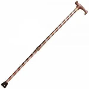 2단 고급 지팡이 할머니 (WFJZ6VI)