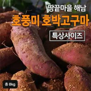 2025 햇 해남 특등급 호박고구마 4kg+4kg