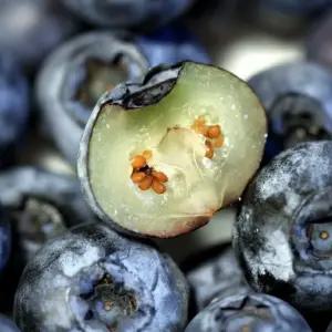 +1 생 블루베리 신선 칠레산 생 과일 요거트 건강한 고당도