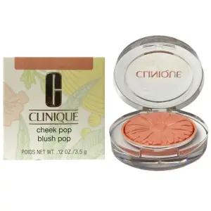 크리니크 치크팝 3.5g