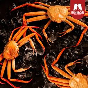 (수율보장) 제철별미 통통한 다릿살 수율 좋은 (생물) 박달 홍게 (중) 3kg (8-9미 내외)