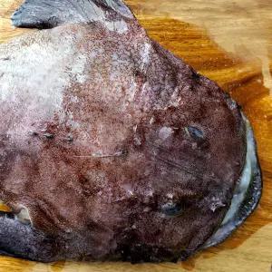 대천항 당일조업 손질 생아귀 1미 (700g~800g내외)