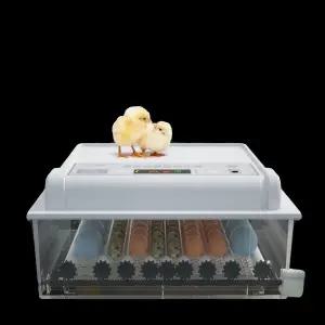 신형부화기 계란 부화병아리 인큐베이터 오리거위