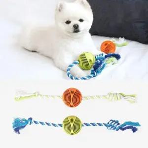 패리스독 로프 간식놀이 러버볼 토이 (강아지 장난감) (랜덤1개) WFIYT71