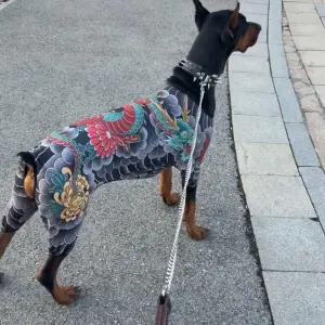 멋지고 스타일리시한 대형견 반려동물 문신 디자인 네발 달린 옷 고양이 강아지 의류 가을