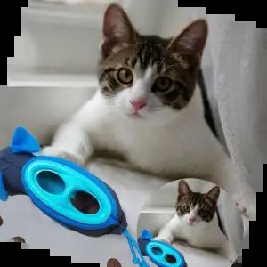 쥐돌이 고양이 먹이퍼즐 사냥본능 쥐먹이 장난감 5P