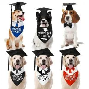 강아지 퍼피스쿨 스카프 졸업가운 모자세트 모자 세트 테마의상 모자 스카프_24167289