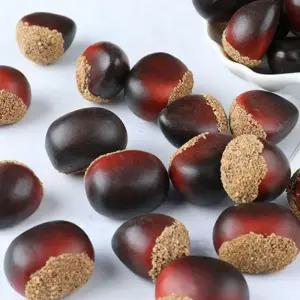 [룽스]만들기수업 알밤모형_10개