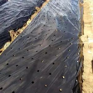 [룽스]잡초차단매트 멀칭비닐 농사비닐 제초매트 7구 10m