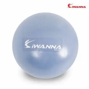 미니 스트레칭 자세교정 아이워너 짐볼 라벤더 운동