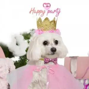 드레스 세트 펫 핑크 3종 생일파티 의상 해피파티 강 WFLRJ4L