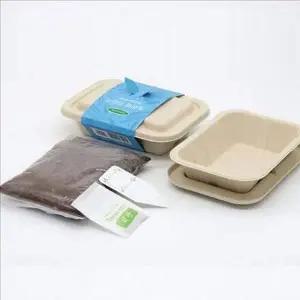 식물 보리 새싹 재배 밀싹 용기 성장