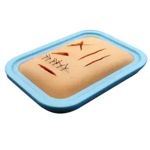 실습 해부도구 피부 간호사 의대 모형 메스 단면 실습용 실험도구