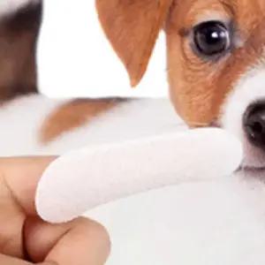 손가락칫솔 핑거 일회용 강아지 구강청결 드라이타입 WFGO82J